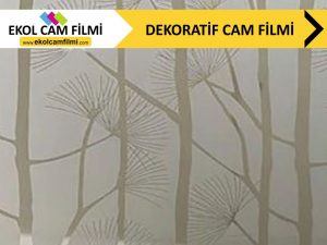 dekoratif cam filmi